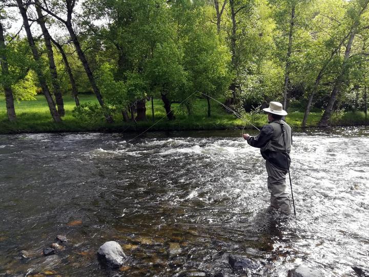 pêche à la mouche sur la rivière Allier à Langeac